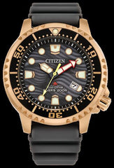 UNI ECO 200M SSRG STRA GRAY CITIZEN