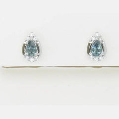 Platinum Earrings