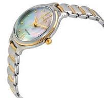 Citizen Eco-drive Two-tone Ladies Watch