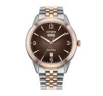Citizen Men's Two-tone Eco-drive Watch